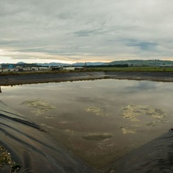 The Effluent Pond at McNab