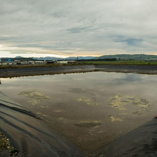 The Effluent Pond at McNab