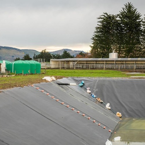 Dairy Effluent Pond